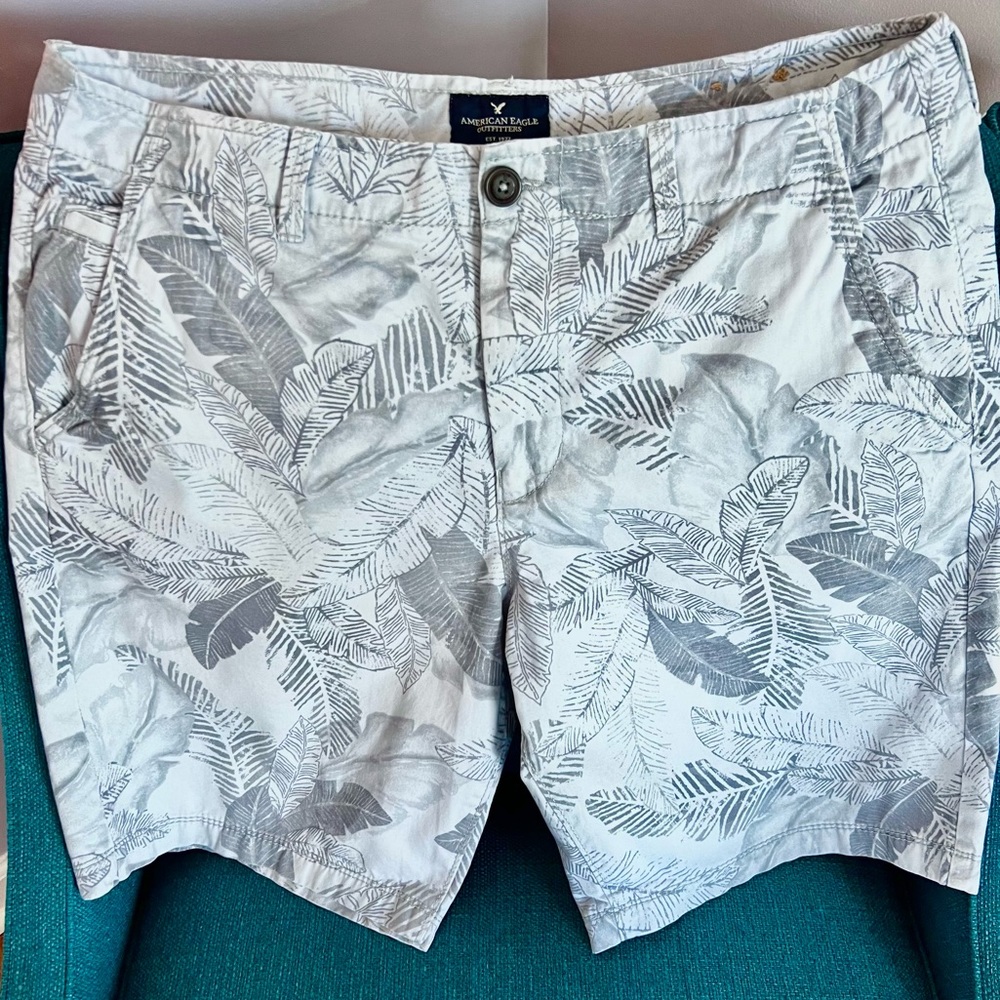 American Eagle 🦅 Men’s shorts 🩳 - Picture 1 of 5